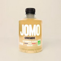 GINGER flavored frozen lemonade | JOMO